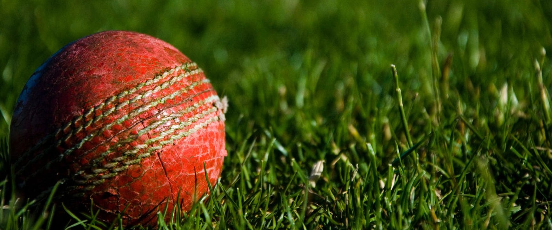 What factors should be considered when making live cricket predictions?