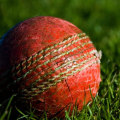 How to predict cricket games?