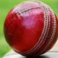 What expert opinion should i consider when making live cricket predictions?