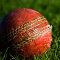 Are there any books that provide guidance on making accurate live cricket predictions?