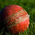 How do you predict a cricket win?