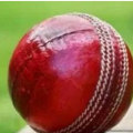 Which is the most popular cricket prediction site?
