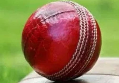 What expert opinion should i consider when making live cricket predictions?