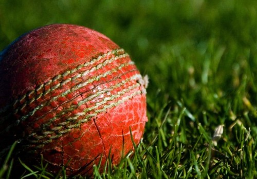 How do you predict a cricket win?
