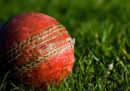 How can i use pitch conditions data to make live cricket predictions?